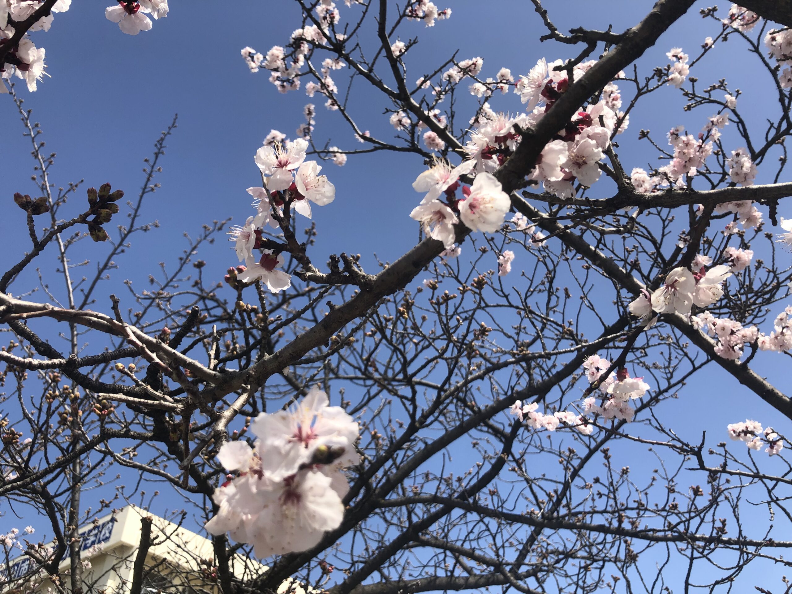私たちの思いは地域の発展です。